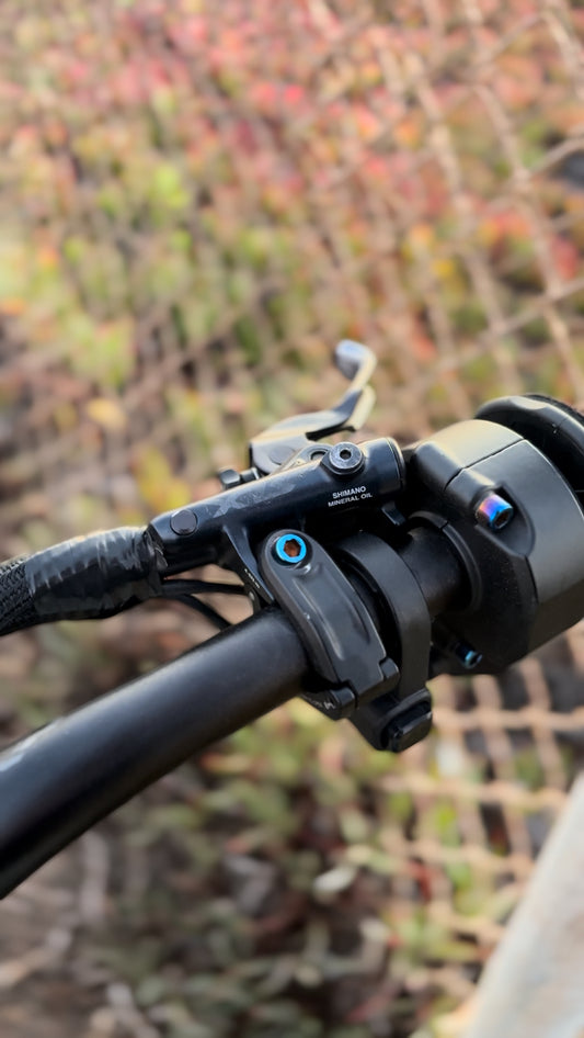 Brake Mount Titanium Bolts